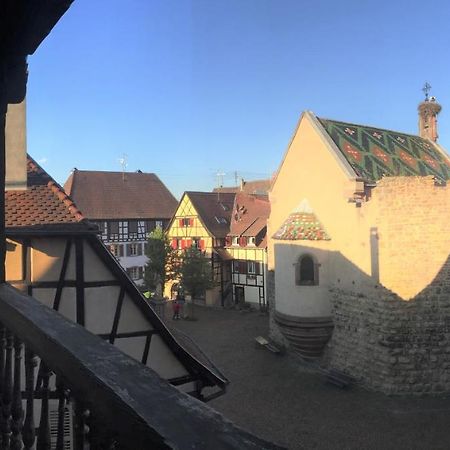 Duplex Saint Lustre, View Over Castle And Storks, 5 Mn From Colmar 엥기쉬하임 외부 사진