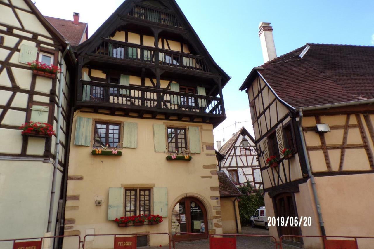 Duplex Saint Lustre, View Over Castle And Storks, 5 Mn From Colmar 엥기쉬하임 외부 사진