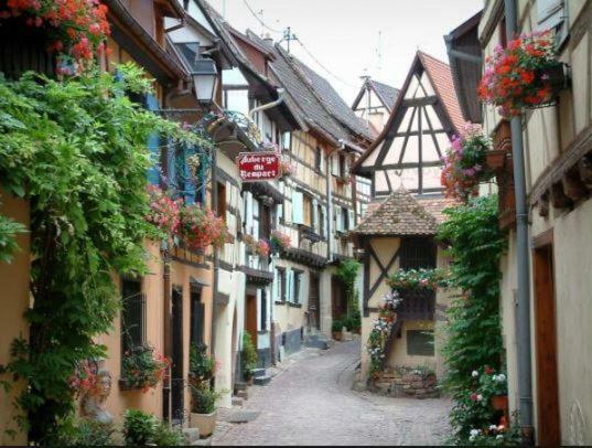 Duplex Saint Lustre, View Over Castle And Storks, 5 Mn From Colmar 엥기쉬하임 외부 사진