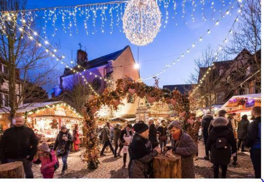 Duplex Saint Lustre, View Over Castle And Storks, 5 Mn From Colmar 엥기쉬하임 외부 사진