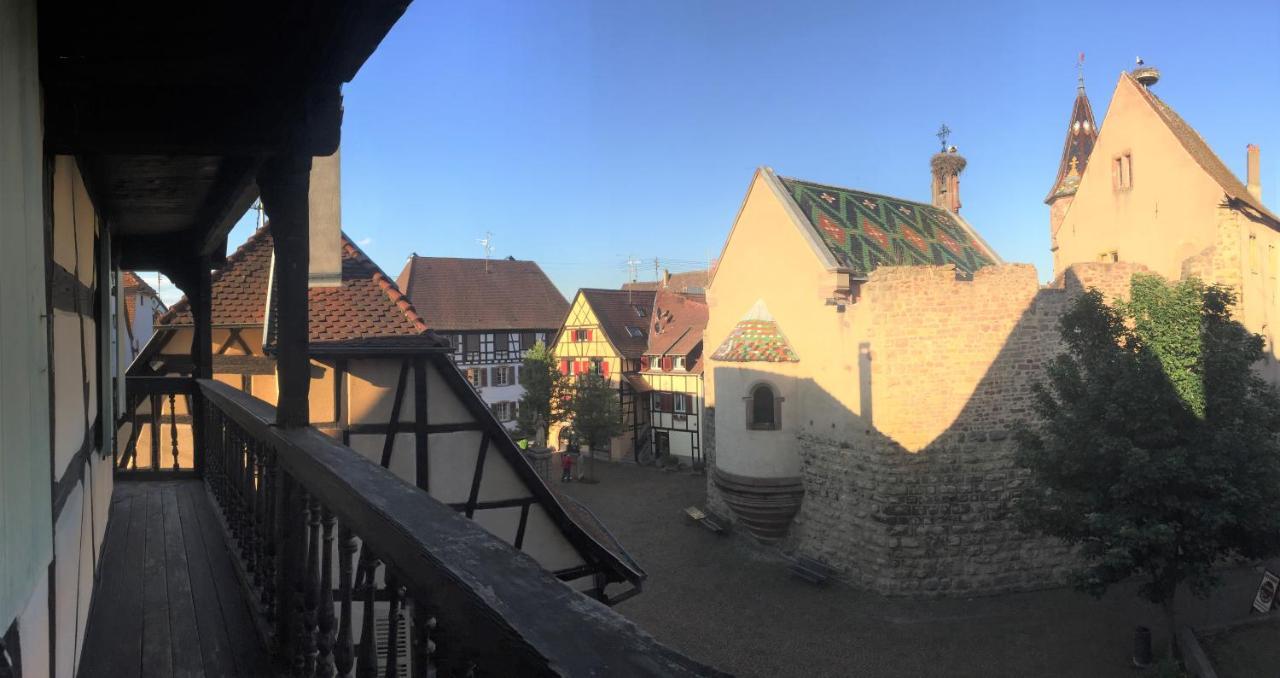 Duplex Saint Lustre, View Over Castle And Storks, 5 Mn From Colmar 엥기쉬하임 외부 사진